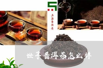 世芊普洱茶怎么样/2023033086271