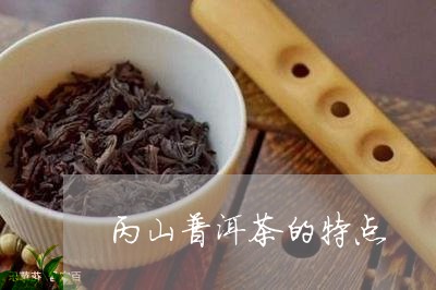 丙山普洱茶的特点/2023041370715