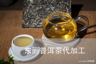 东丽普洱茶代加工/2023031611050