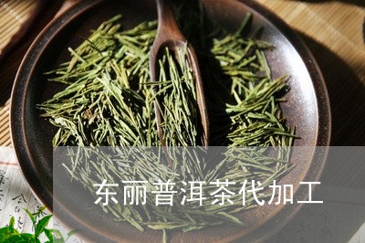 东丽普洱茶代加工/2023041222734