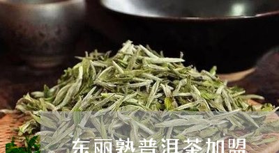 东丽熟普洱茶加盟/2023033020683