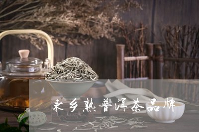 东乡熟普洱茶品牌/2023041263724