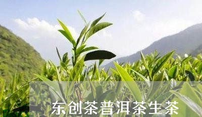 东创茶普洱茶生茶/2023041284158