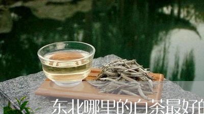 东北哪里的白茶最好的品牌/2023033125046