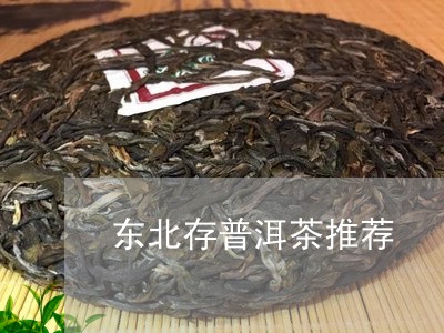 东北存普洱茶推荐/2023041045869