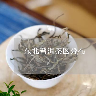 东北普洱茶区分布/2023031780606