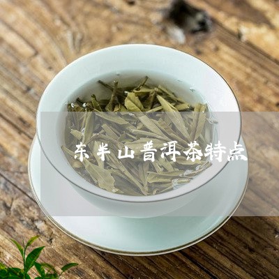 东半山普洱茶特点/2023031830401