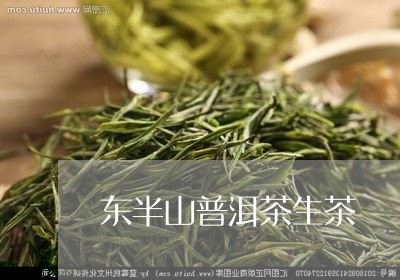 东半山普洱茶生茶/2023041396148