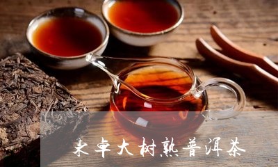 东卓大树熟普洱茶/2023041288613