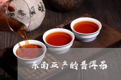 东南亚产的普洱茶/2023033164048