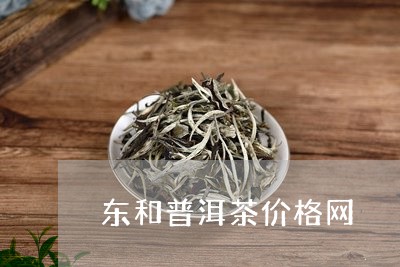 东和普洱茶价格网/2023041399561