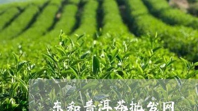 东和普洱茶批发网/2023031655869