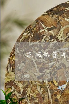 东城熟普洱茶分类/2023031760472