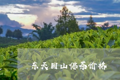 东天目山佛茶价格/2023032472936