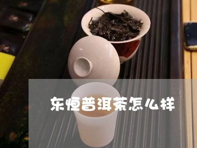 东恒普洱茶怎么样/2023033163949