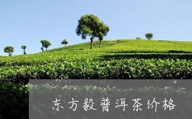 东方毅普洱茶价格/2023041239570