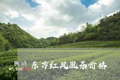 东方红凤凰茶价格/2023032467505