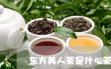 东方美人茶是什么茶/2023041692916