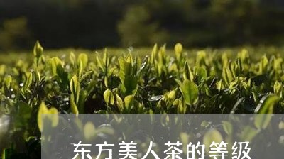 东方美人茶的等级/2023032469383