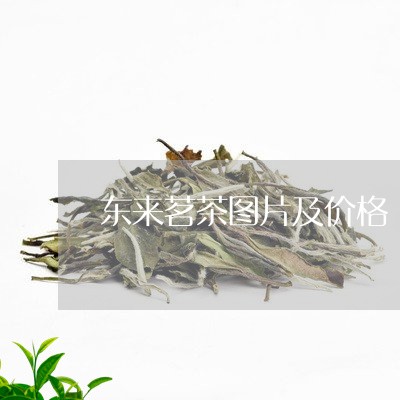 东来茗茶图片及价格/2023041796069