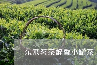 东来茗茶醉香小罐茶/2023041563958