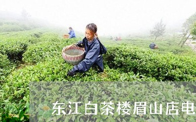 东江白茶楼眉山店电话号码/2023040159524