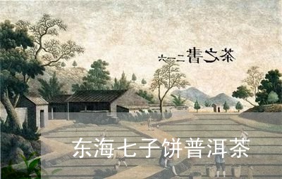 东海七子饼普洱茶/2023031626350