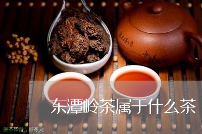 东潭岭茶属于什么茶/2023041503718