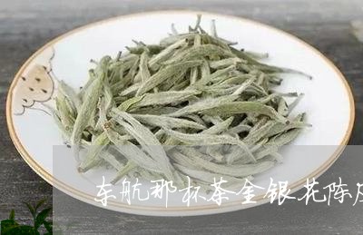 东航那杯茶金银花陈皮白茶/2023040193695