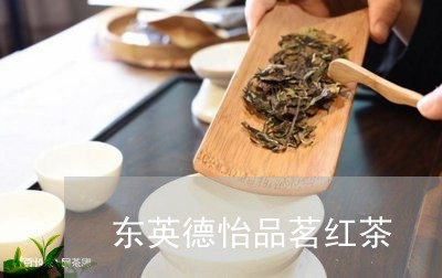 东英德怡品茗红茶/2023041562626