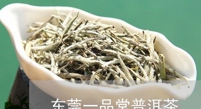 东莞一品堂普洱茶/2023033055250