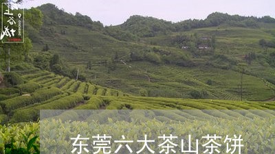 东莞六大茶山茶饼/2023032412027