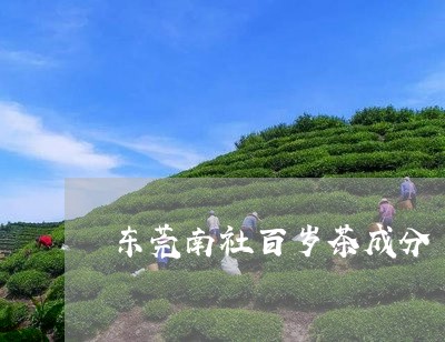 东莞南社百岁茶成分/2023031993026