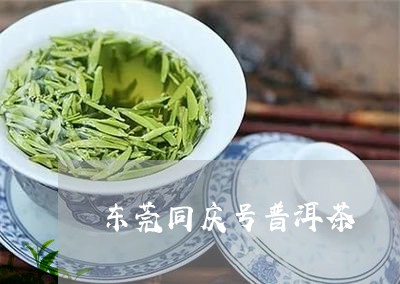 东莞同庆号普洱茶/2023040995178