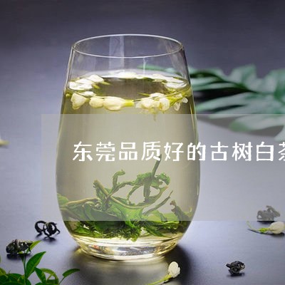 东莞品质好的古树白茶厂家/2023040184936