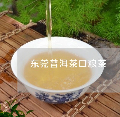 东莞普洱茶口粮茶/2023031776379