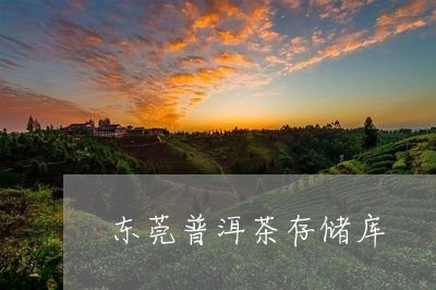 东莞普洱茶存储库/2023040914838