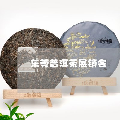 东莞普洱茶展销会/2023031692796