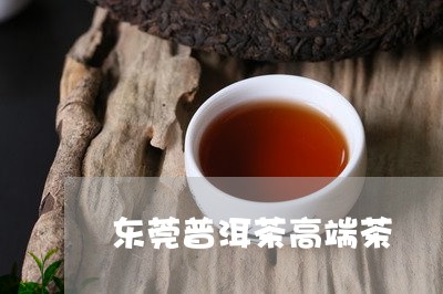 东莞普洱茶高端茶/2023041027179