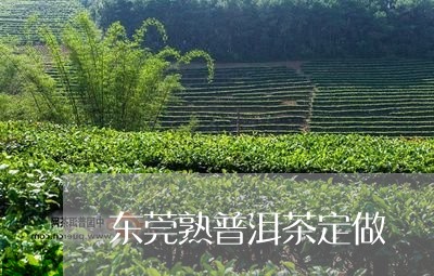 东莞熟普洱茶定做/2023041099382