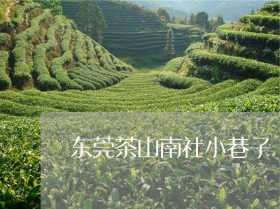 东莞茶山南社小巷子/2023041673818