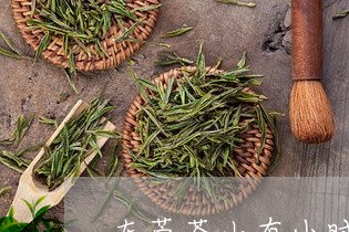 东莞茶山有小时工嘛/2023041669583