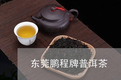 东莞鹏程牌普洱茶/2023041101705