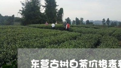 东营古树白茶价格表和图片/2023040133925