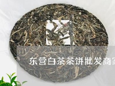 东营白茶茶饼批发商家地址/2023040133717