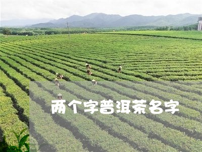 两个字普洱茶名字/2023033177262