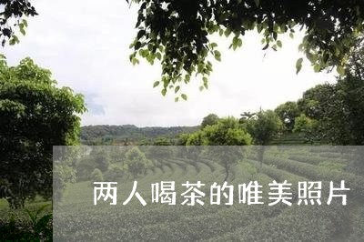 两人喝茶的唯美照片/2023041601526