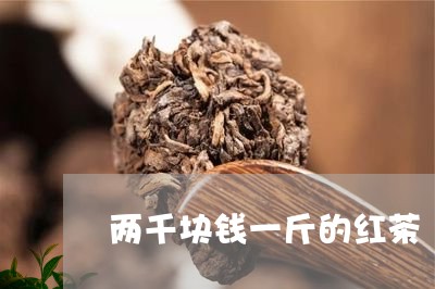 两千块钱一斤的红茶/2023031936281