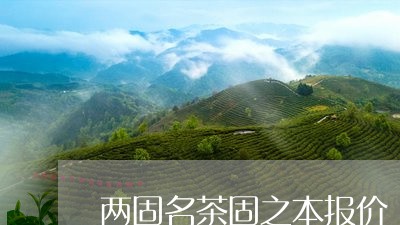 两固名茶固之本报价/2023041604262