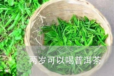 两岁可以喝普洱茶/2023033132836